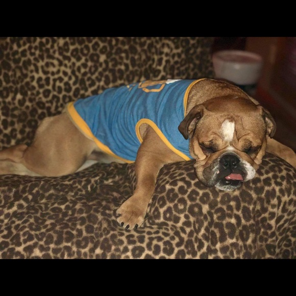 Meet your Posher, Jacob - Picture 1 of 1